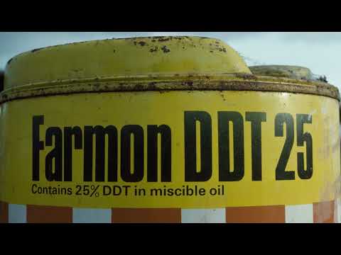 10.11.1972: Insektizid DDT wird verboten