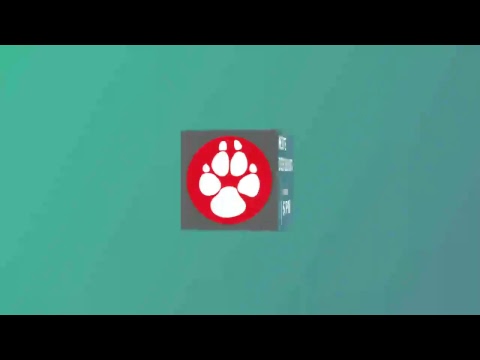 Lobos Cadena 7 Noticias (190219)