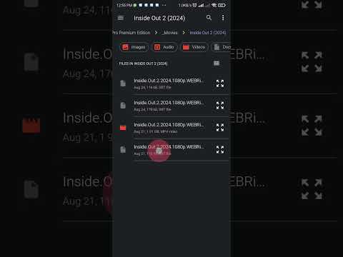 Dual Subtitles Player