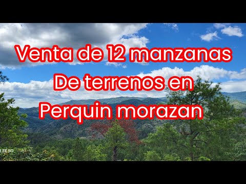 VENTA DE 12 MANZANAS DE TERRENO EN PERQUIN MORAZAN LUGAR MUY FRESCO 