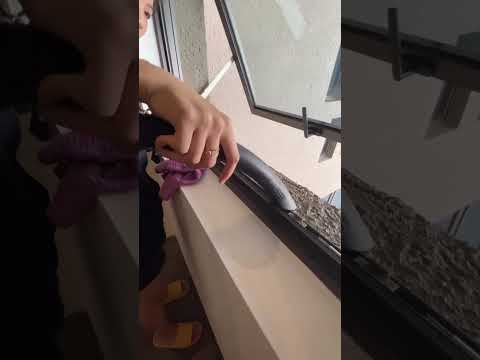 HIP cleaning