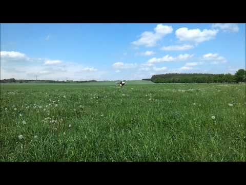 Pfingstfliegen Blütenberg RC Heli Crew