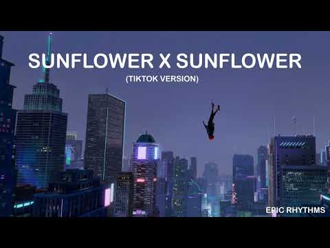 Sunflower X Sunflower (Tiktok Version) | Epic Rhythms