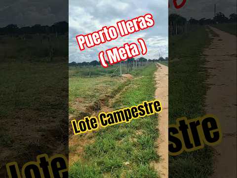 lote campestre en puerto lleras meta #fincallanosariari #puertollerasmeta #lotecampestre