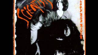 The Scientists - demolition derby