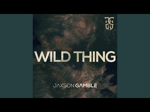 Wild Thing - YouTube