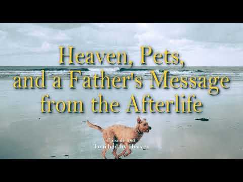 Heaven, Pets, and a Father's Message from the Afterlife - TBH 386