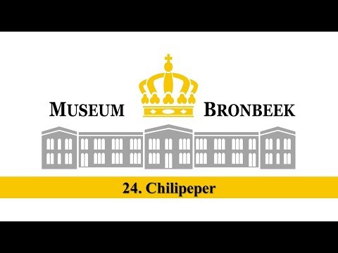 , title : '24. Chilipeper - Geschiedenis van Nederlands-Indië'