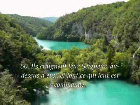 download lagu mp3 mp4 Abeille Traduction, download lagu Abeille Traduction gratis, unduh video klip Abeille Traduction