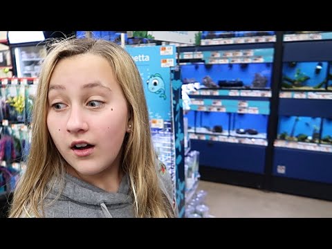 Pet Store Fish Freaked Her Out! Embarrassing Dad Christmas Shopping For New House
