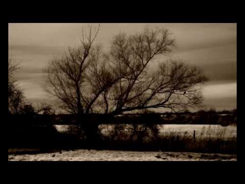 A.Sychra: 'By the river, by the bridge' for seven-string guitar (1820s)