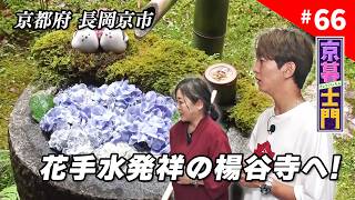 第66回 京暮士門『SNSで大人気！花手水発祥の寺 楊谷寺へ』 - 2026.7.10 OA｜KBS京都
