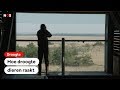 NATUUR: Hoe aanhoudende droogte de dieren treft