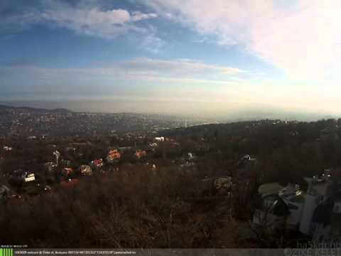 Őzike kelet 2016-02-12