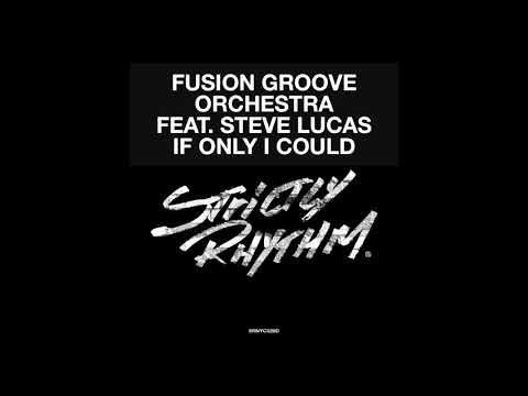 Fusion Groove Orchestra ft. Steve Lucas - If Only I Could (Liem Remix)