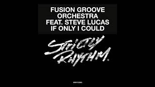 Fusion Groove Orchestra ft. Steve Lucas - If Only I Could (Liem Remix)