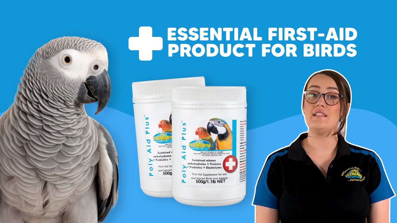 A First-Aid Product All Bird Owners MUST HAVE