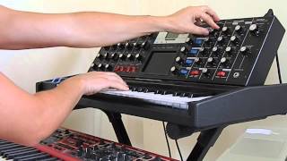 Video thumbnail for Minimoog Voyager Electric Blue by Vinicius Ferreira