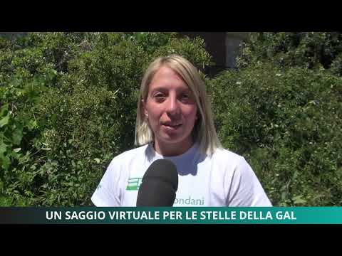 Saggio virtuale per le stelle della Gal