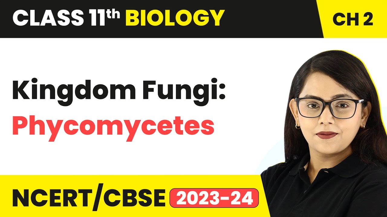 Kingdom Fungi: Phycomycetes - Biological Classification | Class 11 Biology Chapter 2 | NCERT/CBSE