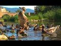 Ducks quacking, eating and splashing on the river - Relaxing Sounds of Nature
