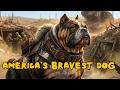 The Legendary War Dog That Earned A Military Rank