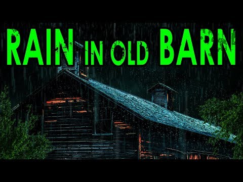 🎧 Rain Sounds on Old Barn | Ambient Noise to Fall Asleep Now, @Ultizzz day#30