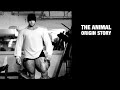 The Animal Origin Story