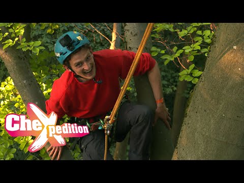 Vom Urwald lernen | Eine CheXpedition mit Checker Julian | BR