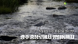 [월간국토-골목기행] 가을 초입, 느긋한 마음으로 걷는 기행-광주 출장로에서 양림동까..