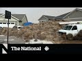 #TheMoment thousands of tumbleweeds invaded Utah and Nevada