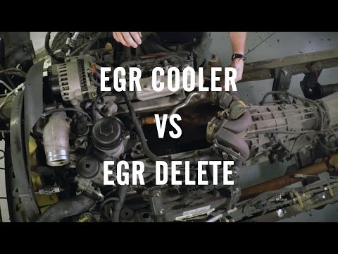 EGR Delete or EGR Cooler?