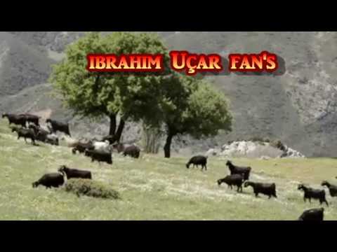 Şevket Kağıtçı Rındem