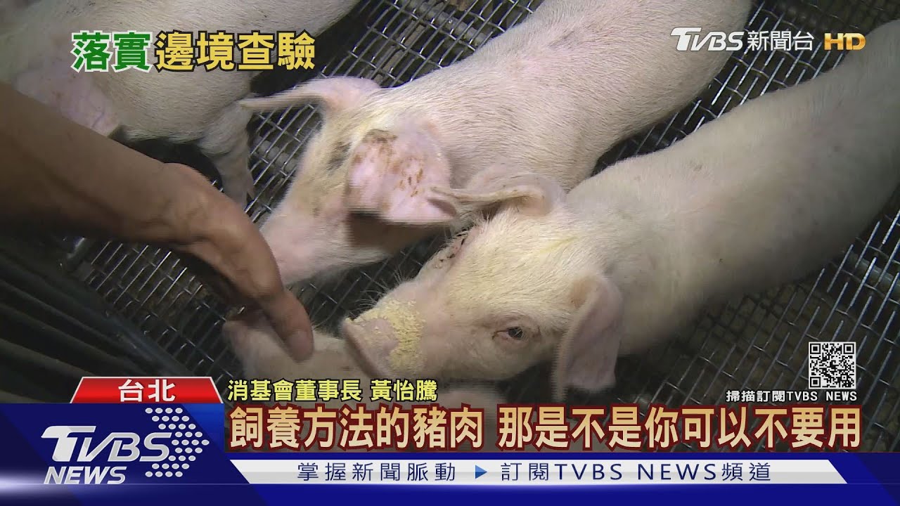 萊豬9項行政命令全過關 5大把關機制能落實?