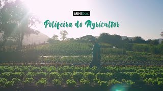Miniatura do vídeo