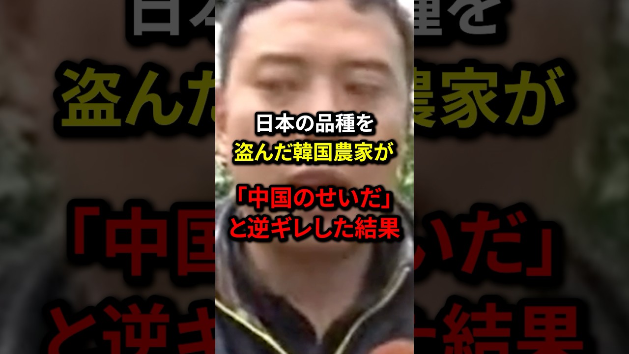 日本の品種を盗んだ韓国農家が「中国のせいだ」と逆ギレした結果