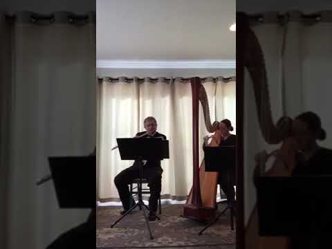 Promotional video thumbnail 3 for City Winds Flute and Harp  Duo