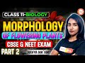 Morphology of Flowering Plants Part 2 | Class 11 CBSE / NEET | Deeksha Vedantu