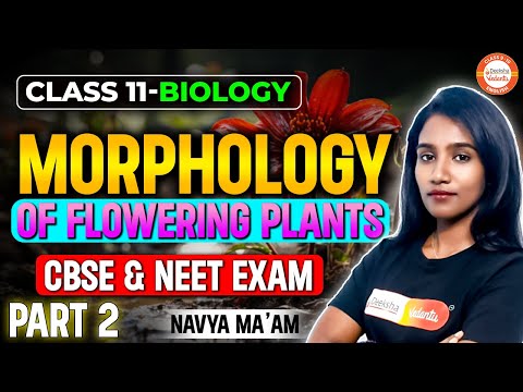 Morphology of Flowering Plants Part 2 | Class 11 CBSE / NEET | Deeksha Vedantu