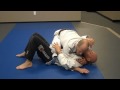 Jay Jitsu BJJ Arm Bar