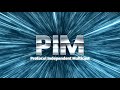 Exploring the power of PIM