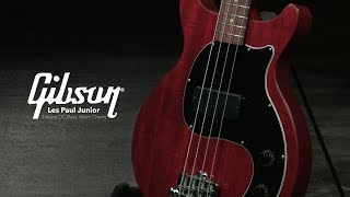 Video thumbnail for Gibson Les Paul Junior Tribute DC Bass, Worn Cherry | Gear4music demo by Gear4music Guitars