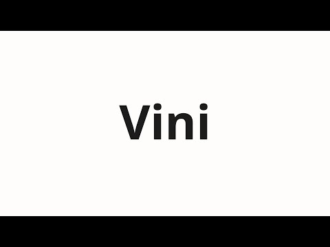 How to pronounce Vini