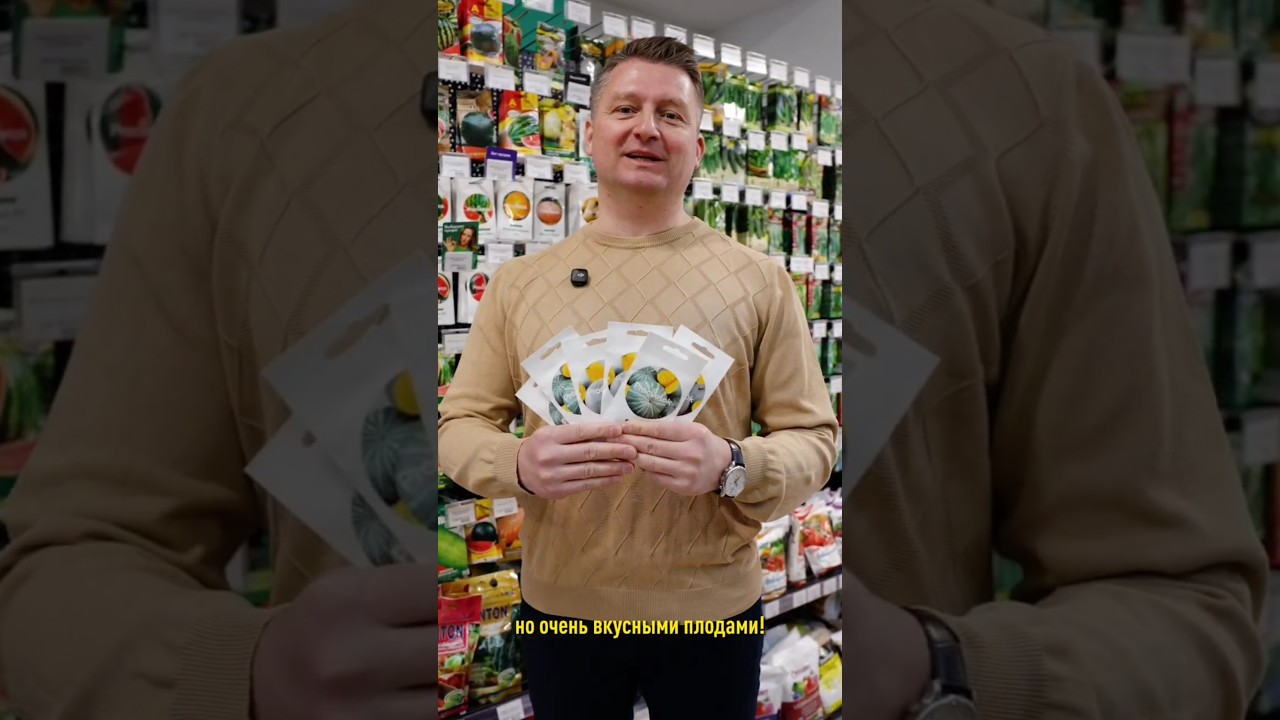 У этих тыкв самый удобный размер! А еще они очень вкусные и долго хранятся!