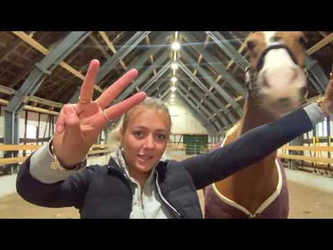 Vi smager hinandens yndlingssnacks #3 | Maja Dulong