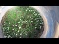 Embers Of Love Mich Gerber Feat Imogen Heap
