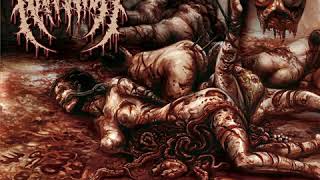 Sodomize Her Headless Corpse