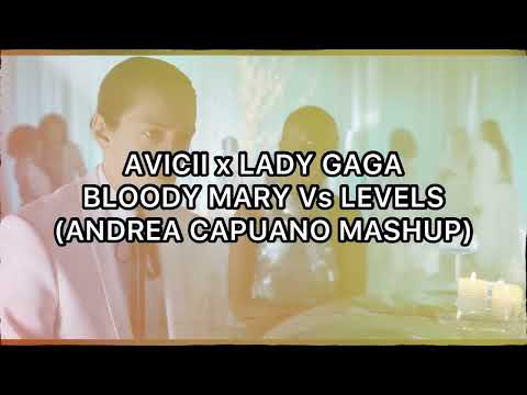 Avicii x Lady Gaga - Bloody Mary Vs Levels (Andrea Capuano Mashup)