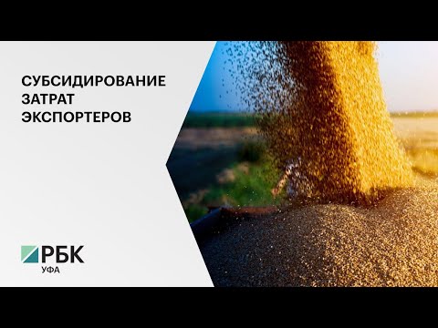 В РБ субсидирование затрат предприятий-экспортеров достигло 215 млн рублей в 2020 году