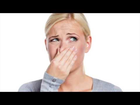 download lagu mp3 mp4 How To Get Rid Of Exhaust Smell In House, download lagu How To Get Rid Of Exhaust Smell In House gratis, unduh video klip How To Get Rid Of Exhaust Smell In House